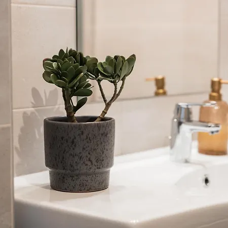 דירה Skylark - Vancouver Penthouse Premium With Jacuzzi And Panoramic View *