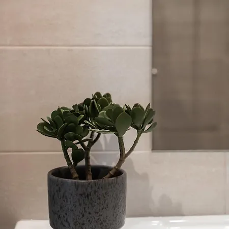 דירה Skylark - Vancouver Penthouse Premium With Jacuzzi And Panoramic View בראשוב