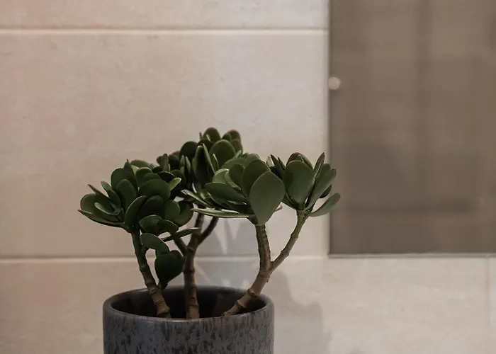 דירה Skylark - Vancouver Penthouse Premium With Jacuzzi And Panoramic View בראשוב